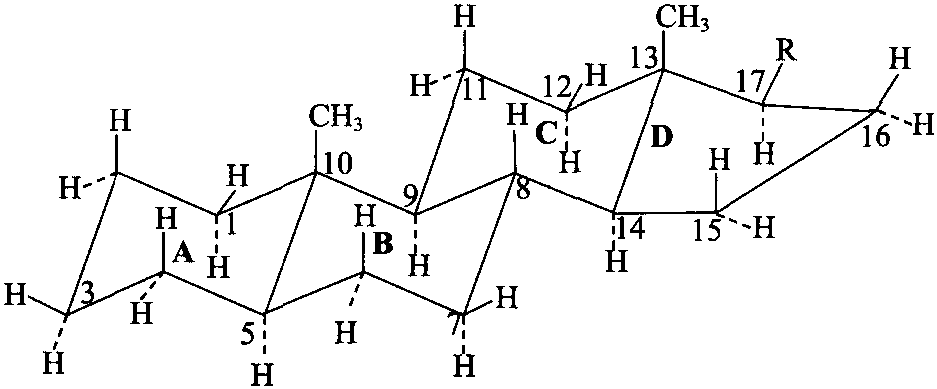 (一) 甾體化合物的化學(xué)結(jié)構(gòu)及分類